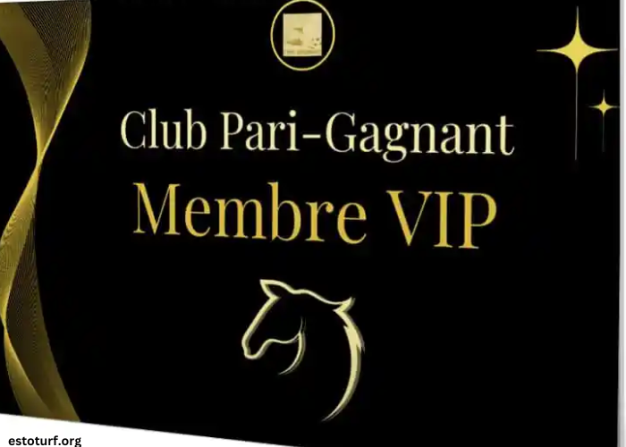 Les 3 Gagnants Vip