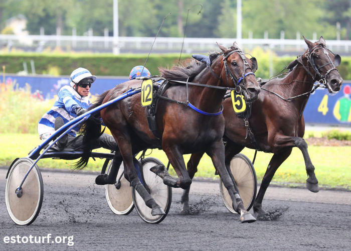 Zetop Trio Gagnant