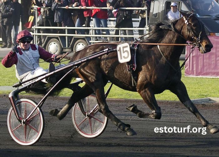 Champion Des Courses (3)