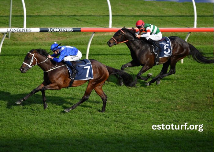 Evodine Turf 2
