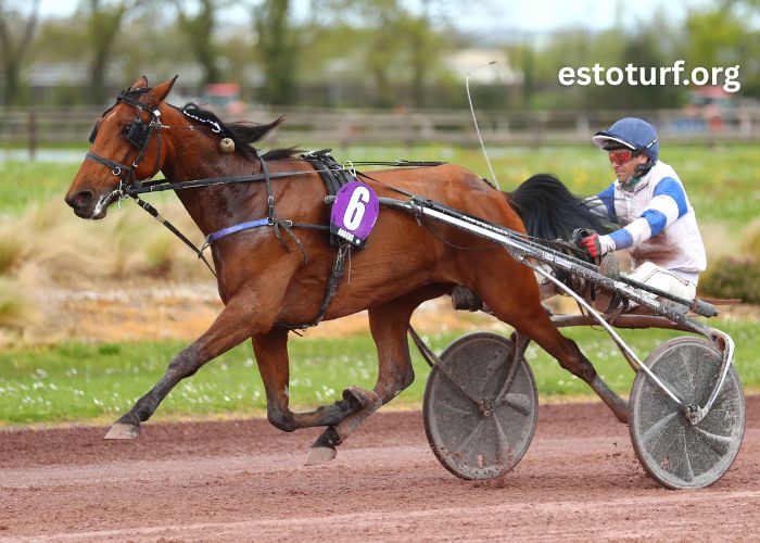 Gain Pmu Aujourd'hui