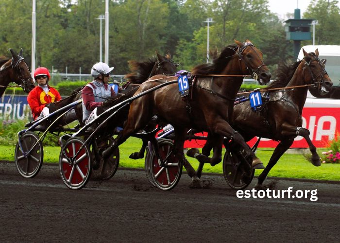 Lebosse Du Turf