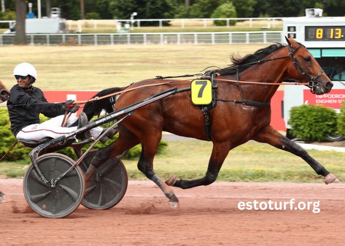Les Craks Du Turf