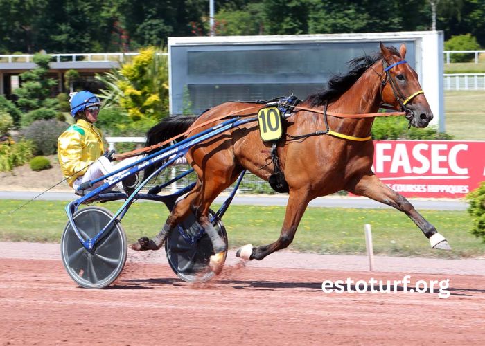 Prono Choc Turf (1)