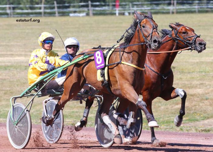 123 Milliardaire Turf