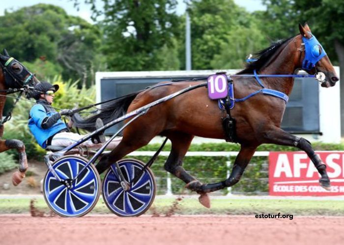 3 Chevaux Gagnant