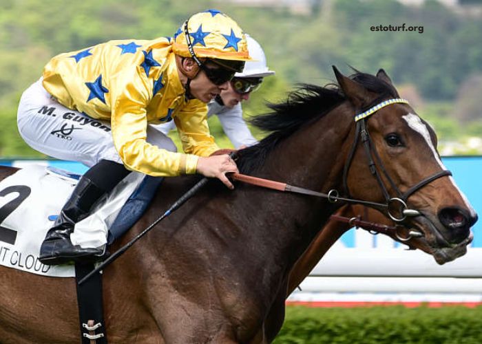 8 Chevaux Turf Magique