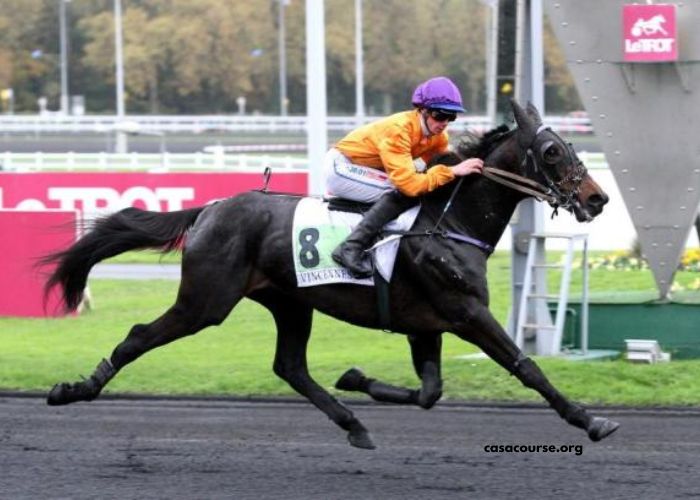 Club Hippique Gagnant