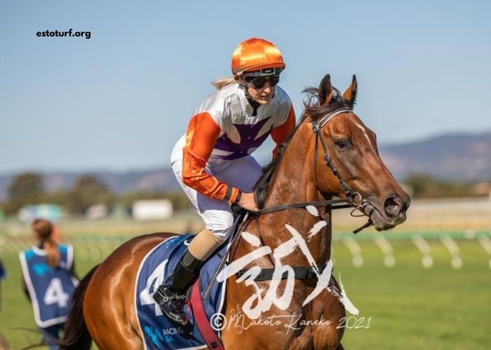 LA Richesse Turf