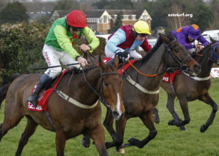 Pronostic Gratuit Turf 100 (1)