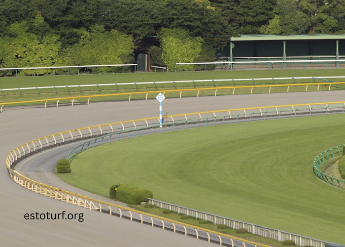Why Every Track Needs a World-Class Turf Course