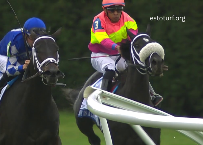 The Role of the Rail in Turf Racing