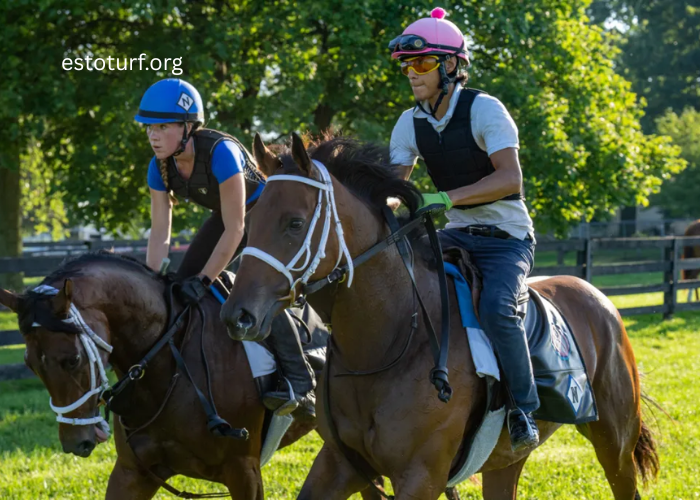 How to Read a Turf Form: A Beginner’s Guide to Horse Racing