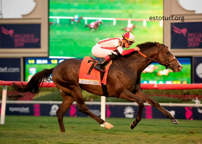 The Most Prestigious Turf Races in the World