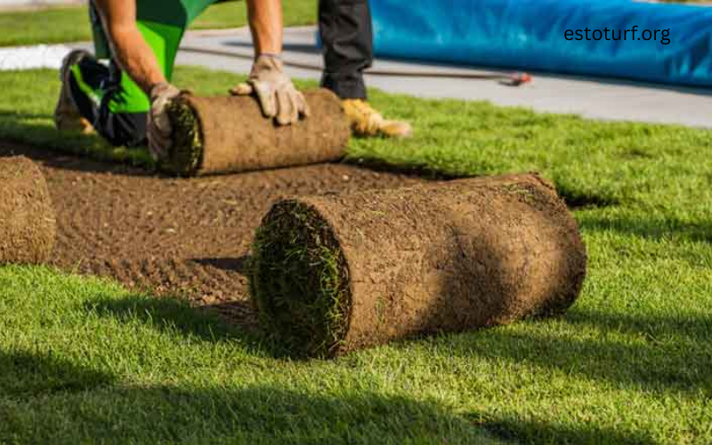turf rentable