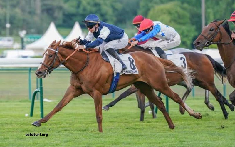 Quintegagnant
